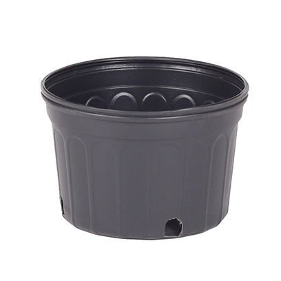 Plastic short 2 gallon pot