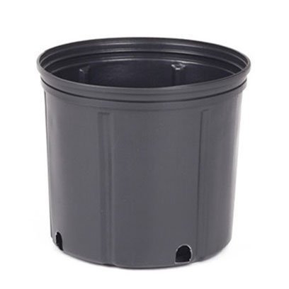 Plastic small 5 gallon pots